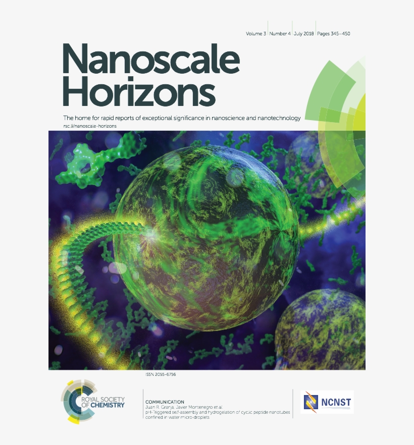 This Time His Drawing Made In Into The Cover Of Nanoscale - Royal Society Of Chemistry, transparent png download
