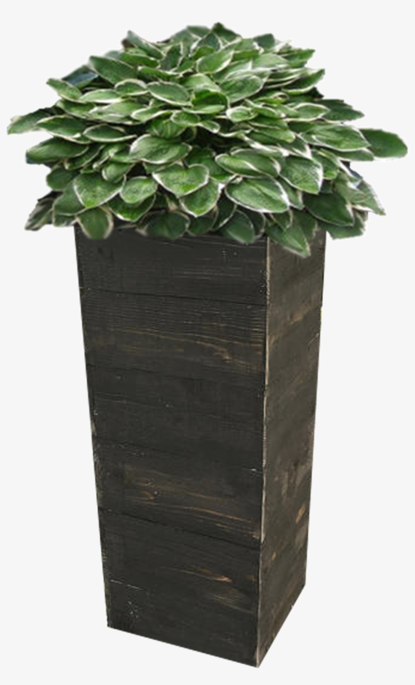Window Box Png Vector Library Stock, transparent png download