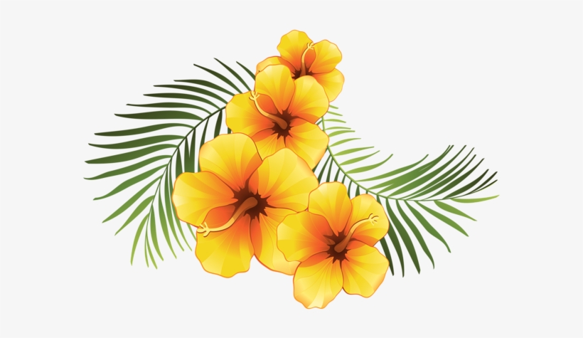 Exotic Floral Decoration Transparent - Exotic Png, transparent png download