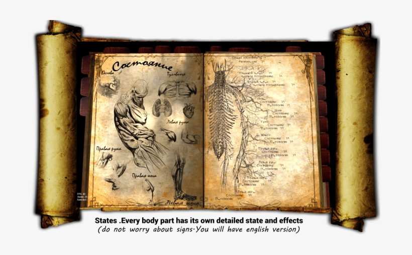 Since We Are Talking About Time And It's Directly Related - Tiger, transparent png download