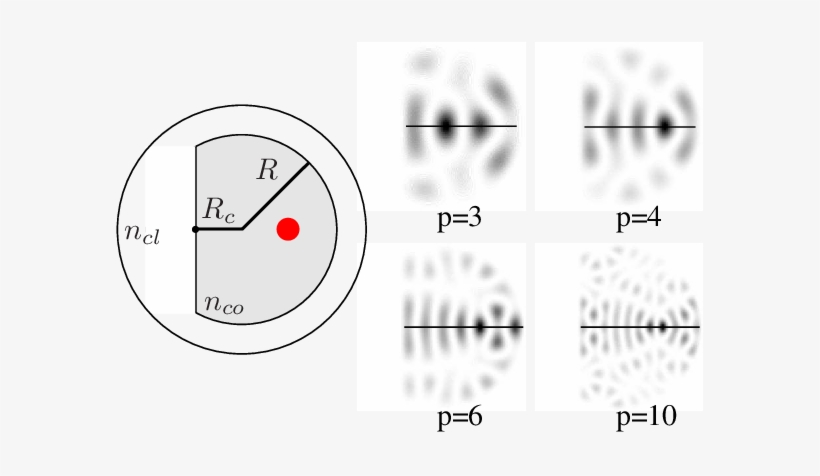 Transverse Cross Section Of The D-shaped Multimode - Cross Section, transparent png download