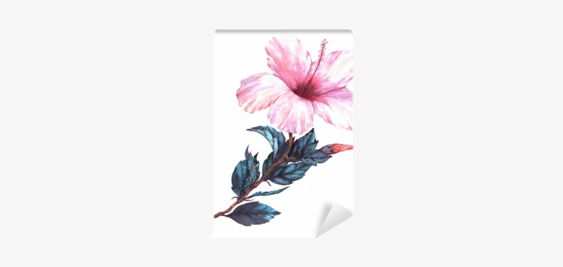 Drawing Hibiscus Watercolor - Goodmoodcases Plastic Hard Case Cover For Macbook Pro, transparent png download