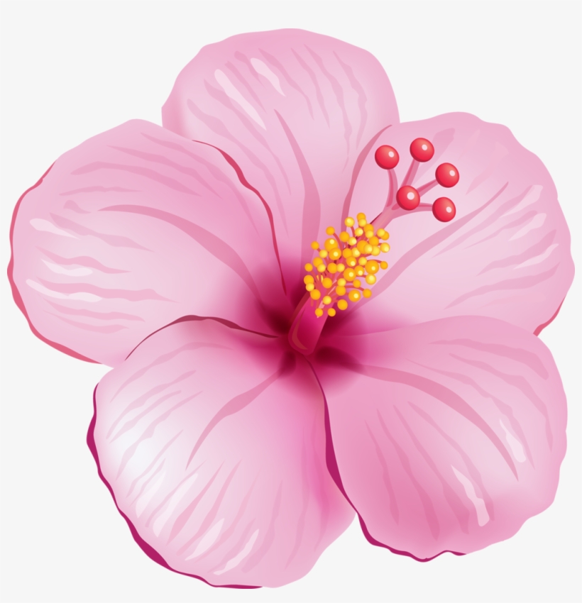 Pin By Ana Maria Rey Cornivell On Plantillas Moldes - Tropical Flower Clipart Png, transparent png download
