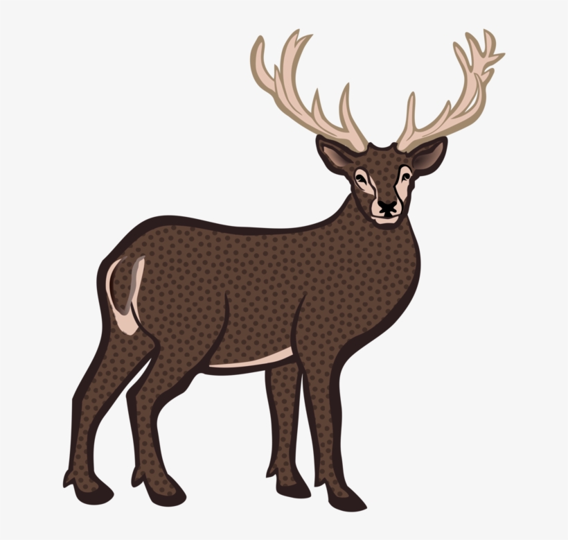 Deer Antler Source - Coloured Image Of Deer, transparent png download