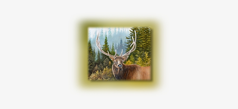 Wildlife Art - Antler, transparent png download