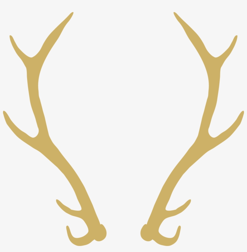 19 Antlers With Flowers Clipart Freeuse Stock Huge - Elk Wreath, transparent png download