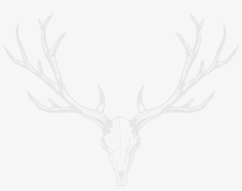 Check Availability Check Availability - White Antlers Png, transparent png download