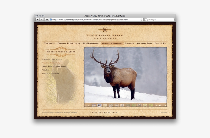 Thank You - Braving The Cold Rectangle Magnet, transparent png download