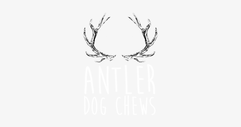 Clipart Library Download Antlers Transparent White - Sketch, transparent png download