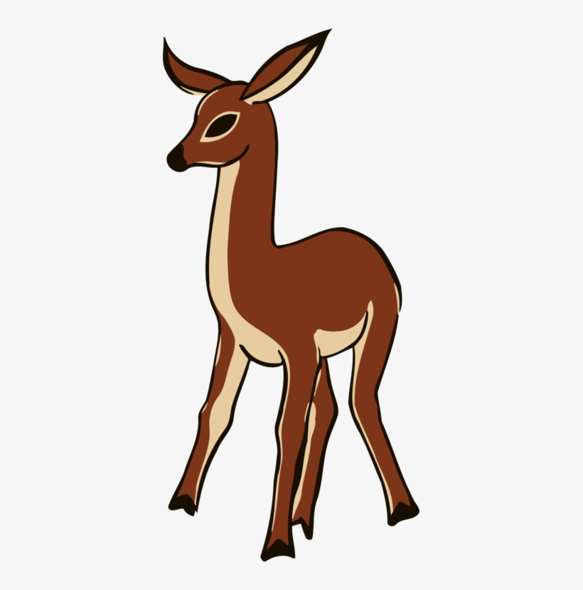Musk Deers Coyote Reindeer Antler - Deer, transparent png download