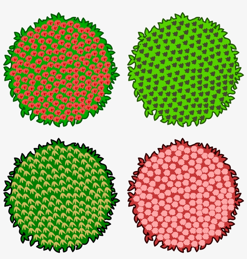 Big Image - Tree For Top View Vektor Png, transparent png download