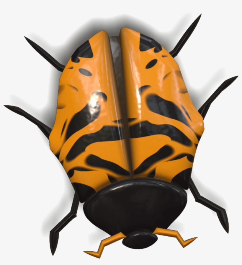 Animals - Ladybird Beetle, transparent png download