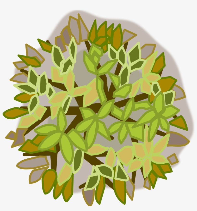 This Free Icons Png Design Of Tree Top View, transparent png download