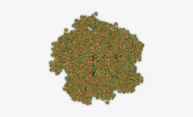 06 Feb 2009 - Tree, transparent png download