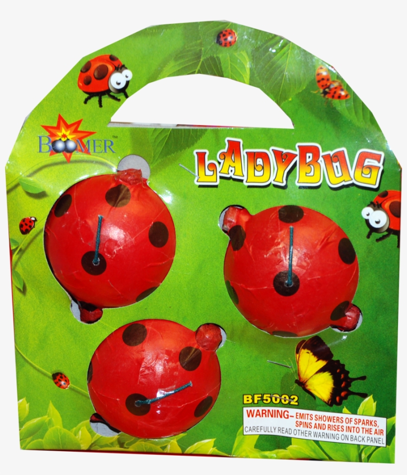 Lady Bug - Ladybird Beetle, transparent png download