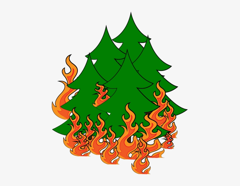 Contact Parents In Bushfire Emergency, transparent png download