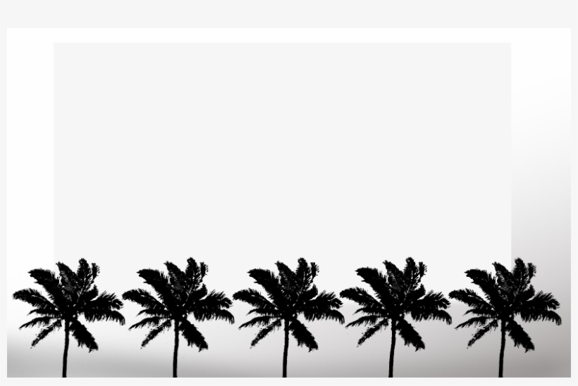 Freeway Tree Tops To - Attalea Speciosa, transparent png download