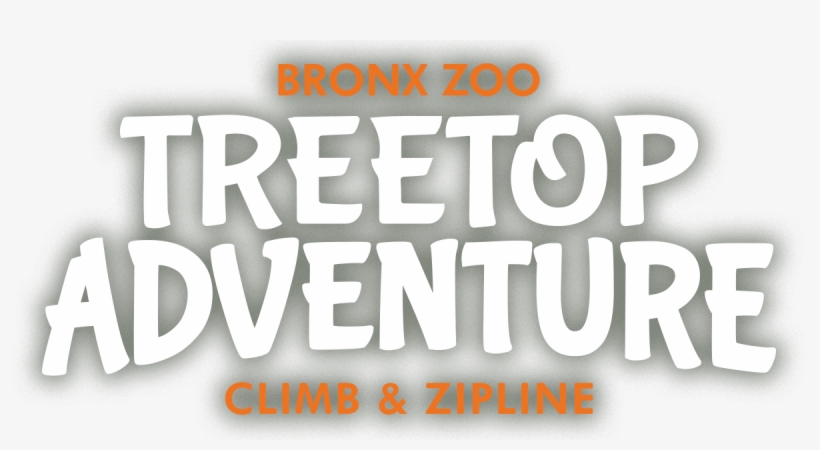 Graphics, transparent png download