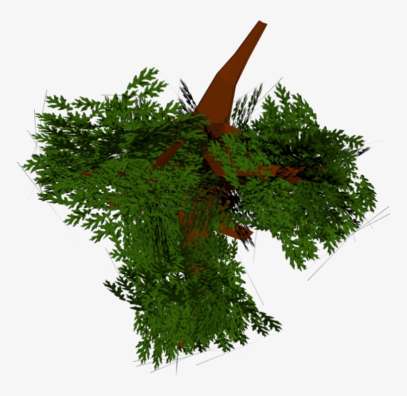 Frank's Portfolio Blog - Spruce, transparent png download