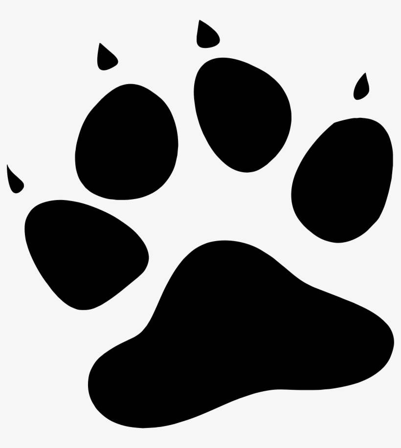 Download Kooziez Studio - Amur Leopard Paw Print - HD Transparent PNG
