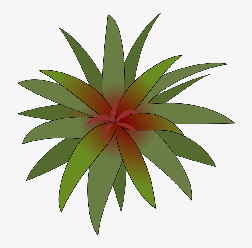 Plants Top View Png - Clip Art, transparent png download
