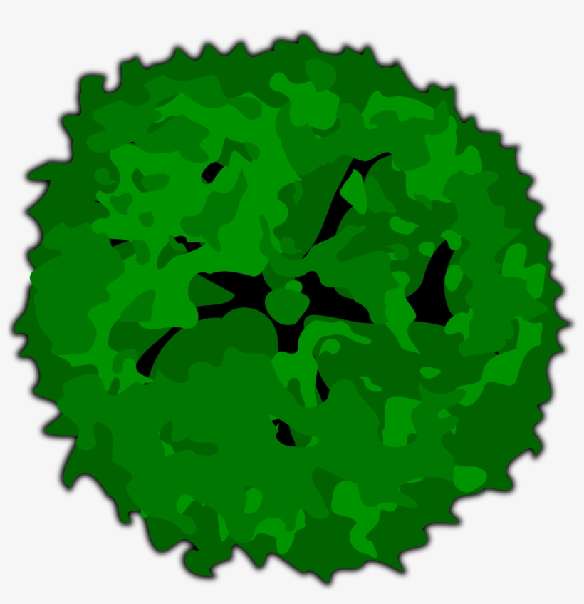 Top Of Tree Clipart & Top Of Tree Clip Art Images - Clip Art, transparent png download