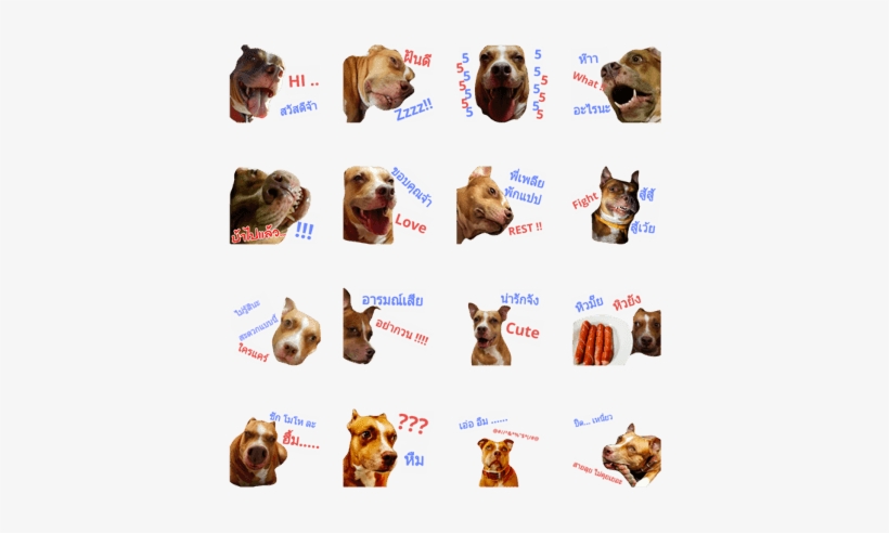 Mumu-pitbull - Dobermann, transparent png download