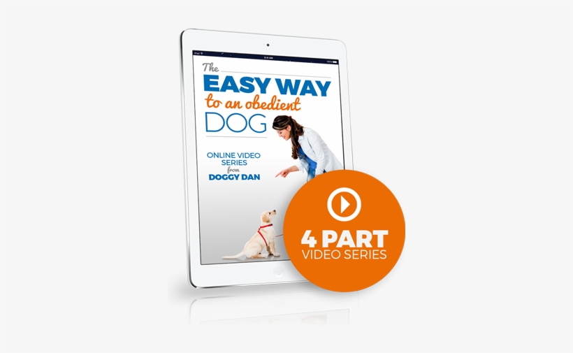 Free Dog Training Video - Zoom Pet Command Ultimate Dog Training System, Barking, transparent png download