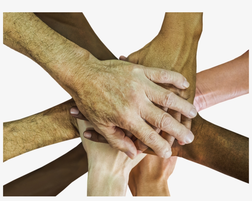 Quotes About Culture - Hands In Hand Brothers, transparent png download