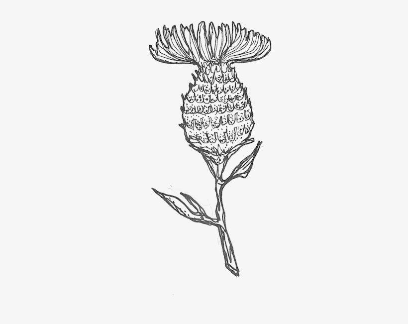 Bernice Yu/ - Credit, transparent png download