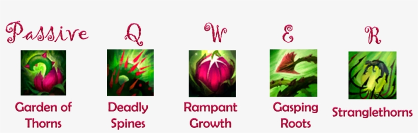 Skills - Portable Network Graphics, transparent png download