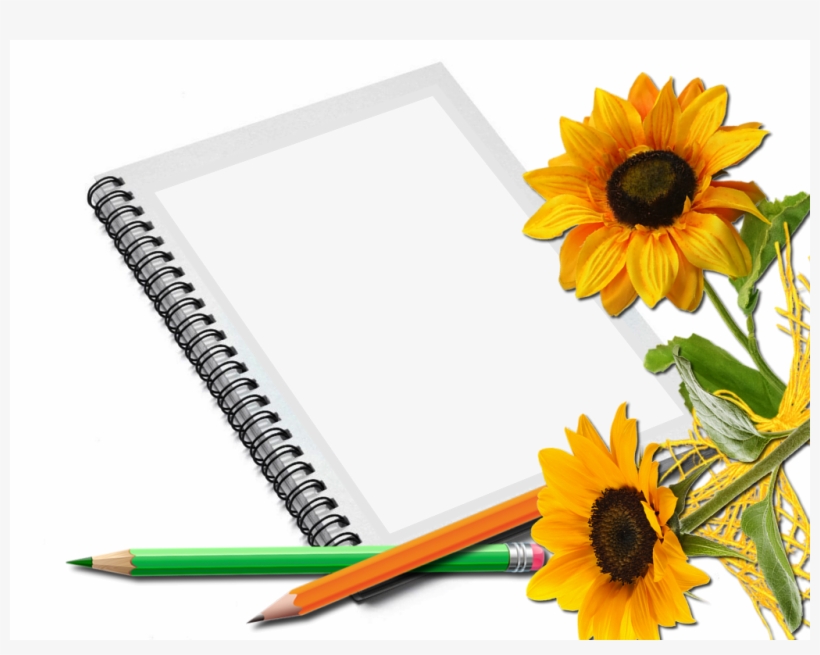 Visit - Portable Network Graphics, transparent png download