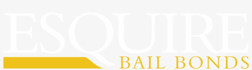 Bbc The Life Of Birds, transparent png download