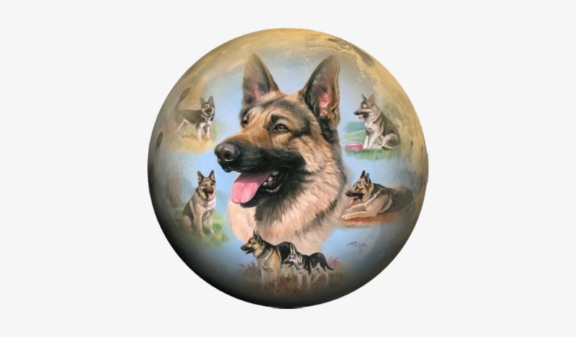 Graphite Drawing German Shepherd - Bob German Shepherd Dog - Linda Picken Treat Jar, transparent png download