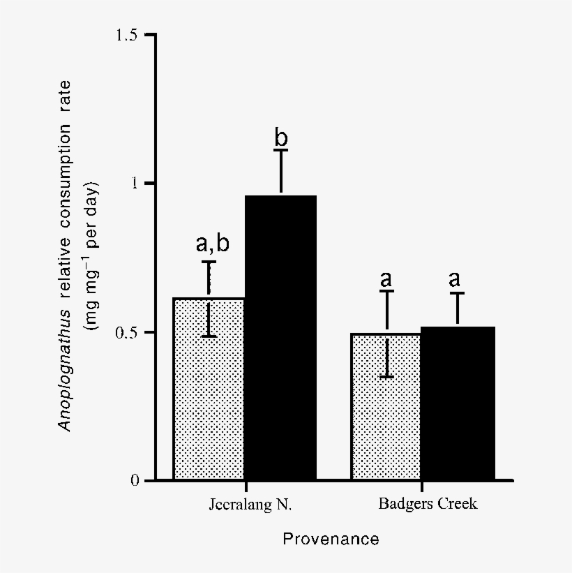 Consumption By Anoplognathus Chloropyrus Of Leaves - Apolipoprotein, transparent png download