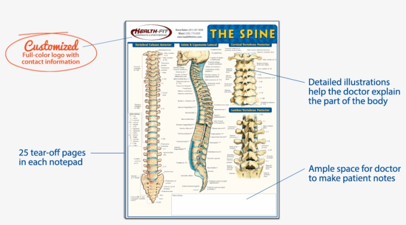Doctor Notepad - Spine By Vincent Perez, transparent png download