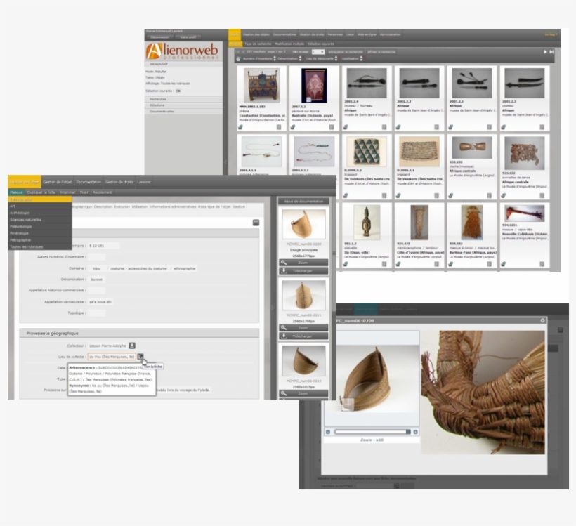 Capture D'écran De La Base De Données Des Collections - Database, transparent png download