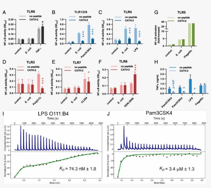 Inhibition Of E - Diagram, transparent png download