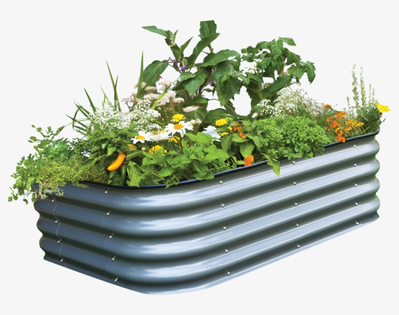 Benefits Of A Raised Garden Bed - 6 In 1 Birdie Raised Bed, transparent png download
