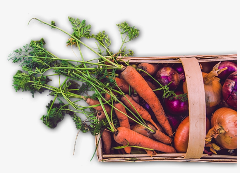 Building Strong Ccommunities - Lighter, transparent png download