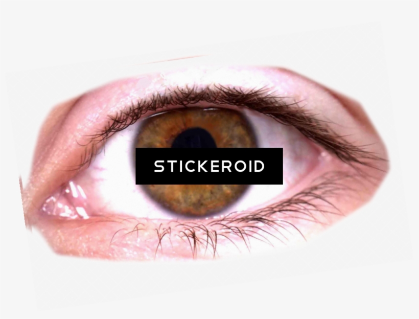 Eye Eyes People - Cambios Y Continuidades En Las Mujeres: Un Análisis, transparent png download