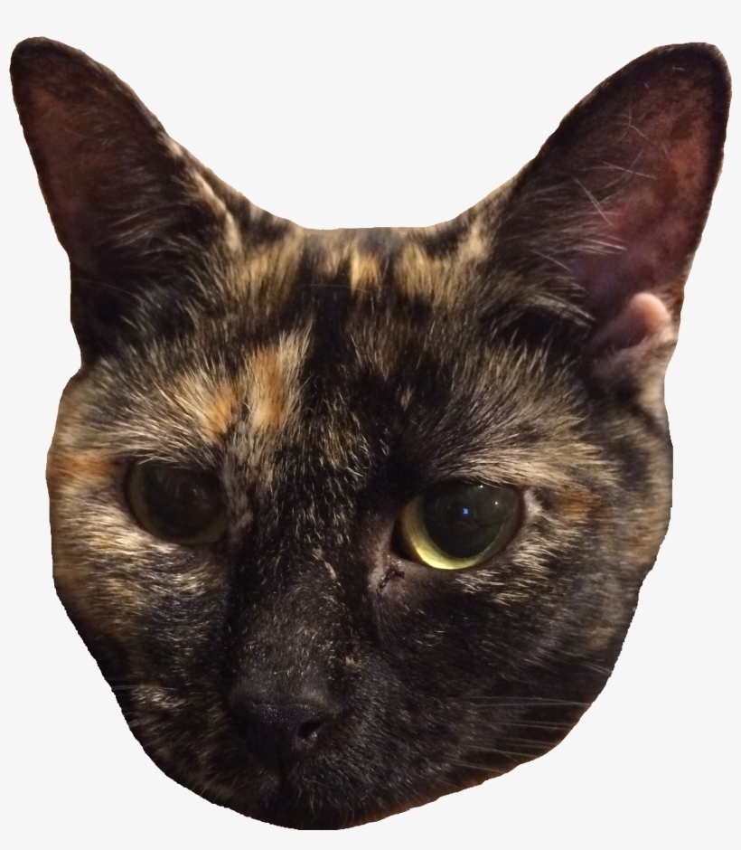 Vanessa Head, transparent png download