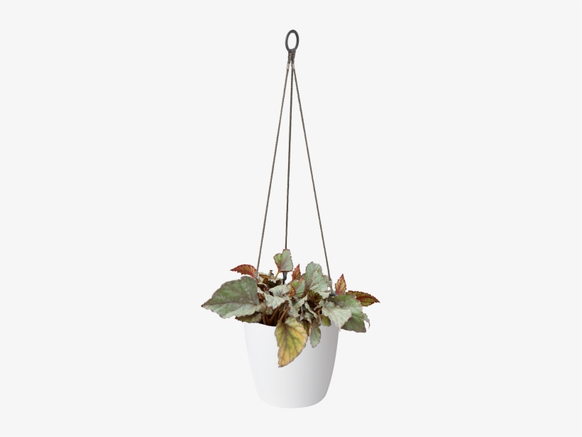 Home > Collection > Brussels Hanging Basket - Elho Loft Urban Hanging Basket 20cm Anthracite, transparent png download