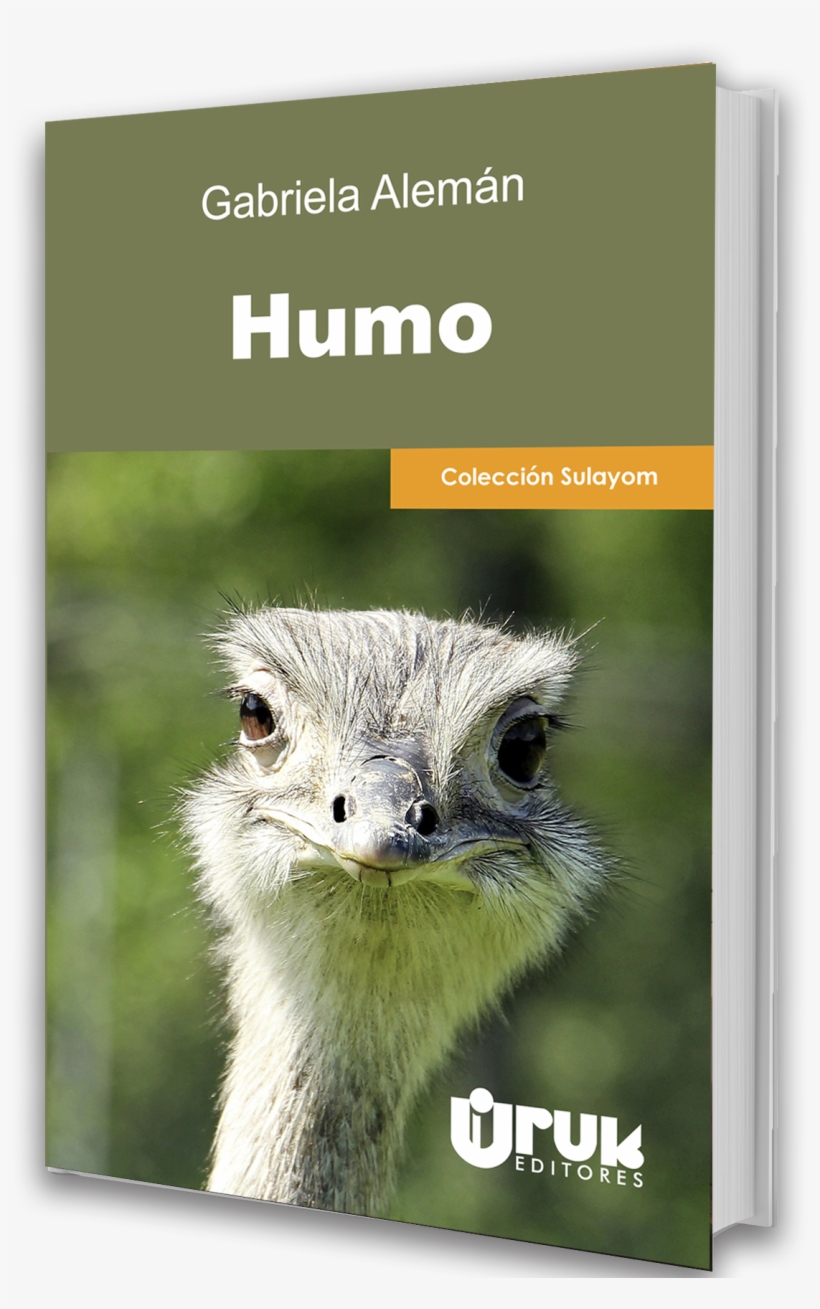 ₡ - Common Ostrich, transparent png download