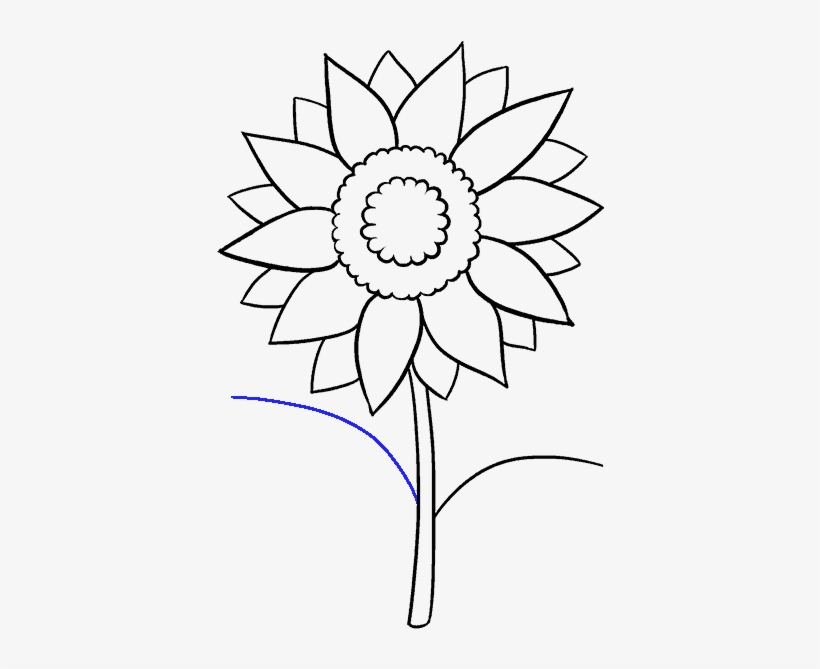 Sunflowers Png Tagalog Ng Picture Royalty Free Download - Sketch Picture Of Sunflower, transparent png download