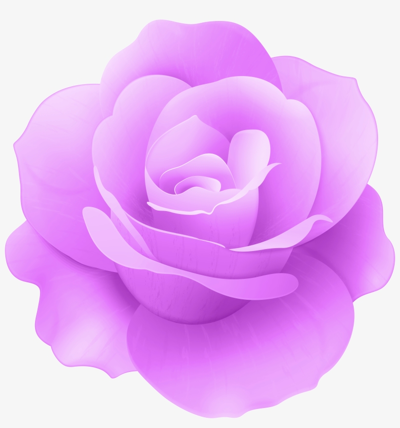 Purple Rose Png, transparent png download