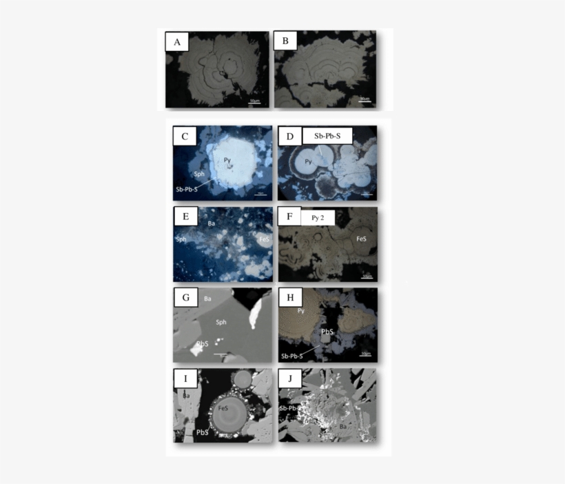 Photomicrographs In Reflected Light And Bse Images - Pyrite, transparent png download