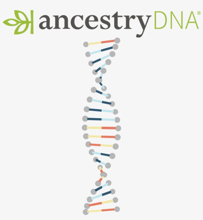 When It Comes To Identity, Many Of Us Have Grown Up - Ancestry Dna Kits, transparent png download