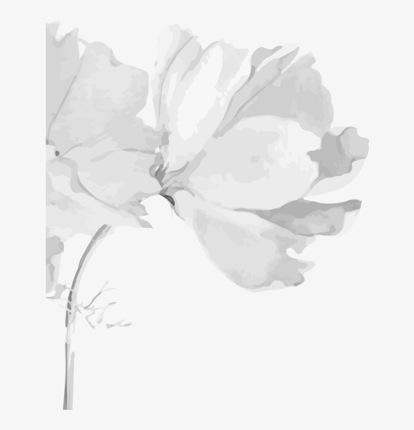 Appointments Only Telephonic No Appointments Will Be - Watercolor Painting, transparent png download