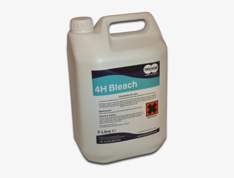 Carpenter Ant, transparent png download